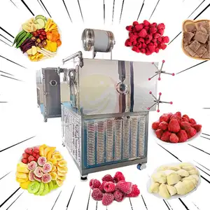 freeze dryer 20kg Meat Vacuum Fruit Vegetable Freeze Dryer and Dehydrator Machine of Lab Coffee Powder