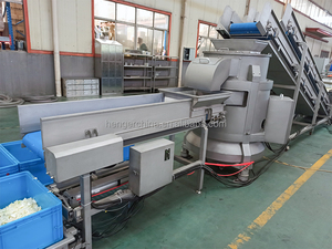 Ligne de lavage et de traitement de fruits et légumes Équipement de traitement des chips et frites de pommes de terre - Product Image 4