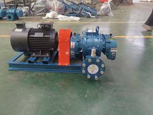 Small Pneumatic Conveying Twin Lobe Roots <strong>Blower</strong> Direct Coupling <strong>Good</strong> Sale High Wind Power Factory Price Air Rotary <strong>Blowers</strong> - Product Image 2