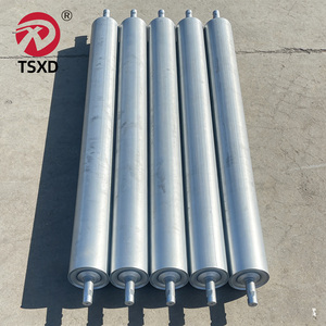 Rodillos de Gravedad Resistentes de Acero Inoxidable y Galvanizado con Resorte para Transporte en Fábricas y Uso Logístico - Product Image 3