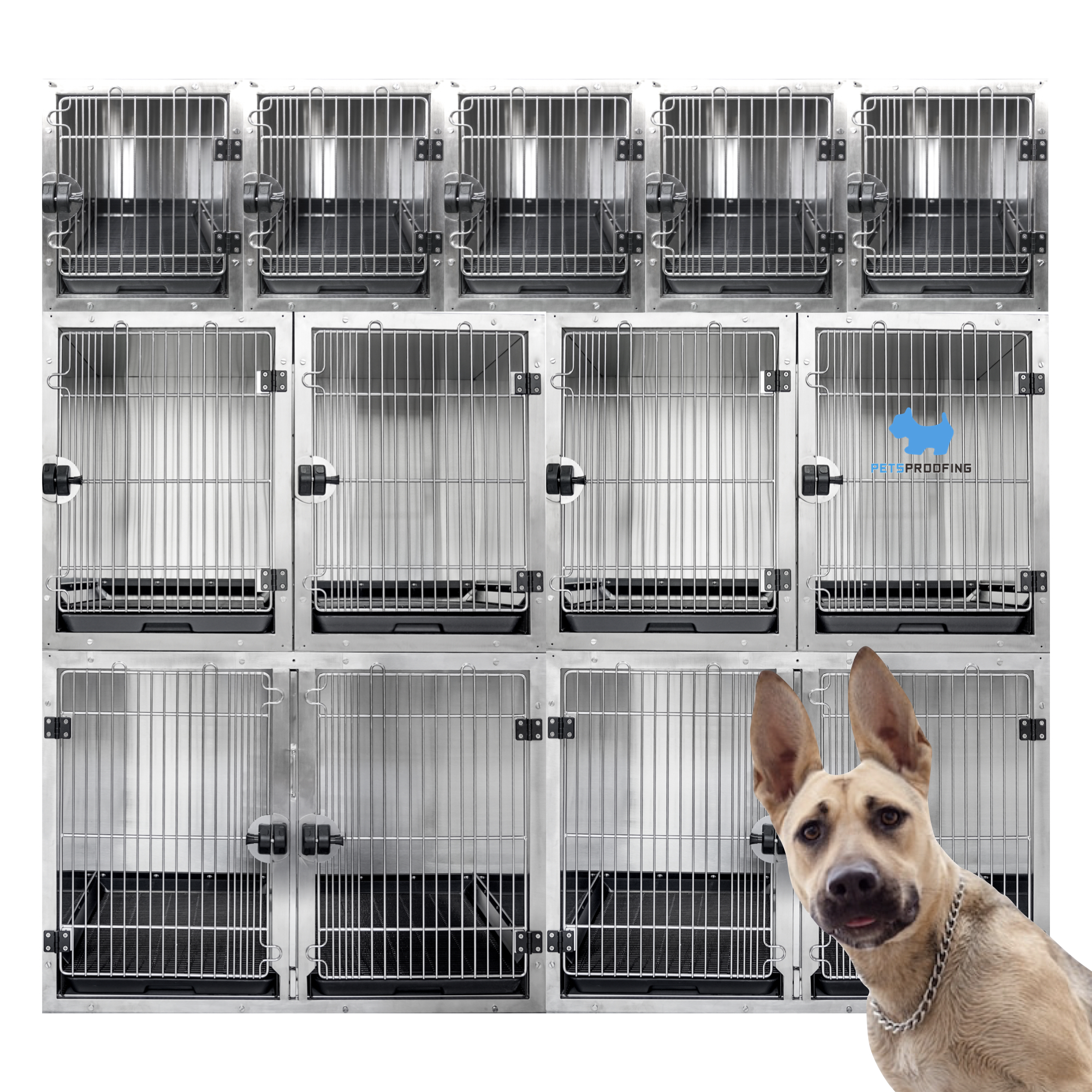 Versatile Vet Boxes Durable Customizable Solutions