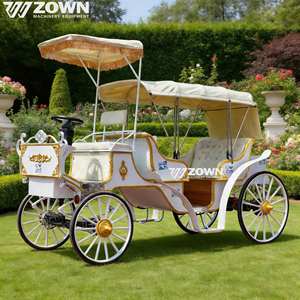 Vagoneta Eléctrica de Estilo Europeo Retro para Turismo, Carroza sin Caballos para Múltiples Pasajeros, para Recorridos Turísticos Urbanos - Product Image 1