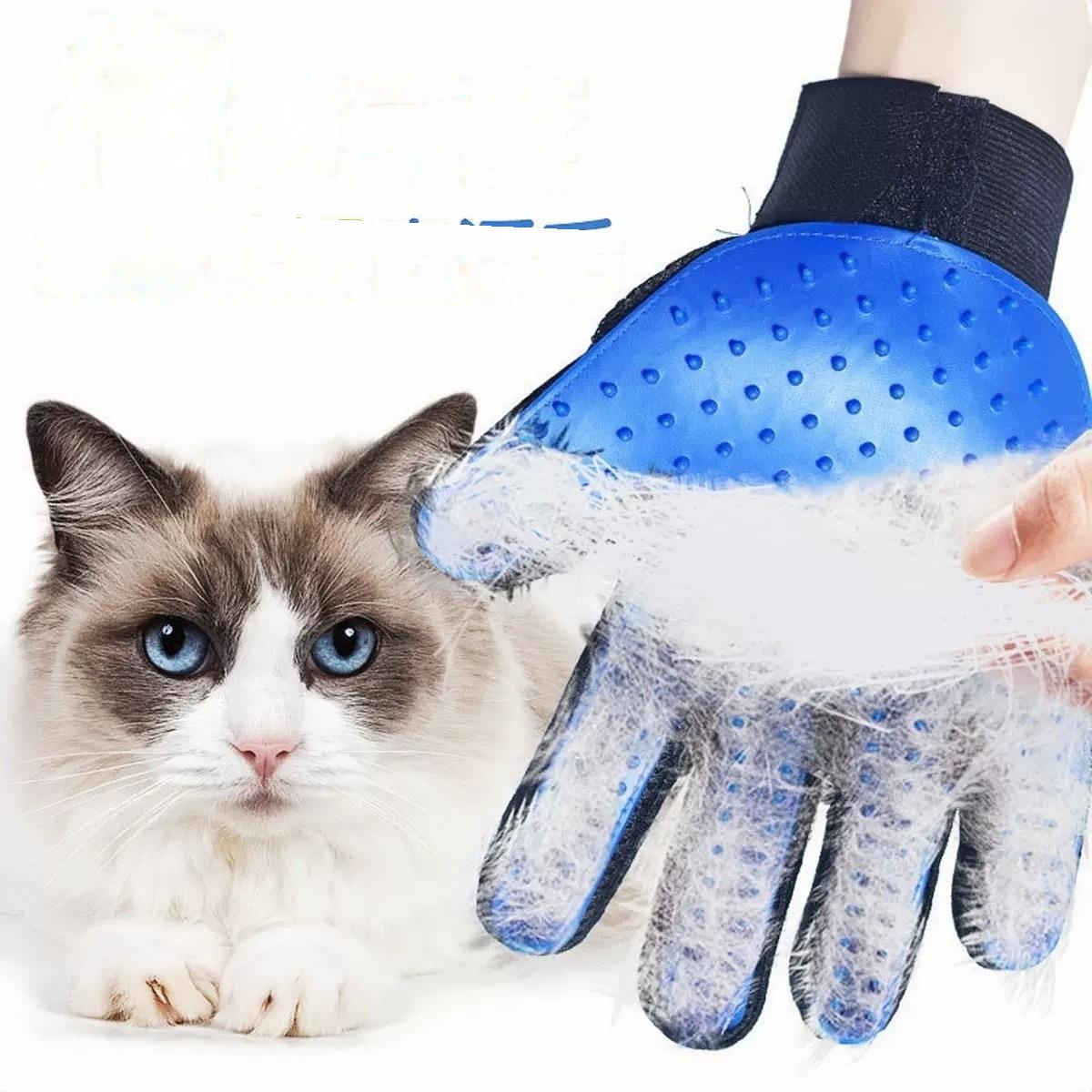 Cat Gloves Blue [Left Hand]]