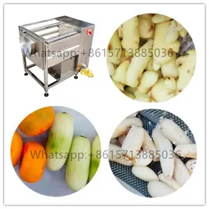 Machine commerciale de nettoyage et d'épluchage de brosse de Peelin de patate douce de légume de fruit