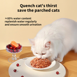Comida Húmeda <span class=keywords><strong>para</strong></span> Gatos Más Vendida, Nutritiva y Saludable, Bocaditos Húmedos de Atún Sin Aditivos, Sabor a Carne - Product Image 3