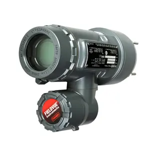 Contrôleur de niveau numérique Fisher DLC3010 de Chine, transmetteur de niveau à tube de déplacement de couple avec vanne à bille - Product Image 3