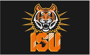 100% polyester livraison rapide impression numérique <span class=keywords><strong>USA</strong></span> drapeau de l'état américain Idaho - Product Image 6