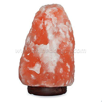 Lampe de sel de l'Himalaya de 7 pouces avec cordon à variateur d'intensité - Veilleuse en cristal de roche naturel avec base en bois classique