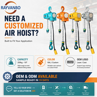 Palans pneumatiques antidéflagrants Rayvanbo Spark Free certifiés 0,5T-5T, commande à distance, protection IP54/55, chaîne G80, huile