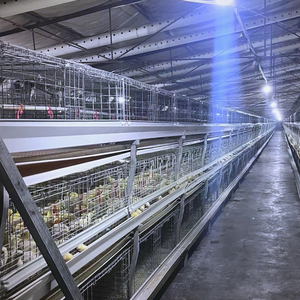 <span class=keywords><strong>Kit</strong></span> de cages pour poulets de chair entièrement automatisé et économe en main-d'œuvre, avec modules complets d'alimentation, d'abreuvement, de collecte des excréments et de ventilation - Product Image 1