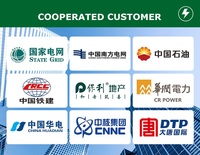 Disyuntor de Vacío (VCB) de 12kV VS1-12 para Transmisión de Energía Eléctrica de Alta Tensión, Tipo Empotrado para Interiores, Venta al por Mayor