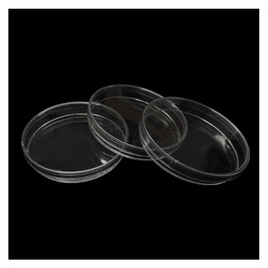 Placa de Petri de plástico estéril Wei Hong de 90 mm para cultivo de células y bacterias en laboratorio - Product Image 4