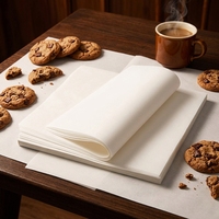 Vente directe usine – Papier sulfurisé double face prédécoupé, non blanchi, imperméable, antiadhésif, qualité alimentaire, sur mesure pour la cuisson du pain