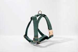 สายจูงสุนัขผ้าลูกฟูกสีเขียวในป่าสำหรับสุนัขเด็กหญิงชุดสายรัดปลอกคอและสายจูงสุนัข - Product Image 2