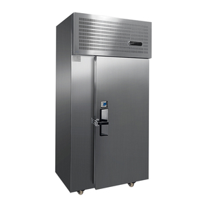Congelador Rápido de Venta Caliente 2025 -40 Grados, 15 Placas, Ultracongelador de Congelación Rápida para Almacenamiento de Pescado HSD-40L15C 2024 - Product Image 1