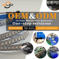 Tira de LED RGBW SK6812 al por Mayor, 5V 60LEDs/M, Direccionable, IP65 IP67, Resistente al Agua, Iluminación Navideña para Exteriores, CE RoHS OEM
