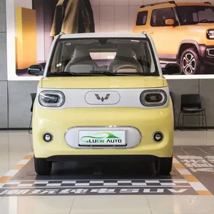 सबसे अधिक बिकने वाला 2024 वूलिंग होंगगुआंग मिनी ईवी शुद्ध इलेक्ट्रिक नई ऊर्जा वाहन