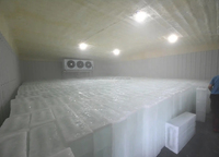 Entreprise de fabrication de glace à vendre, machine à glace de 30 tonnes pour les fruits de mer frais