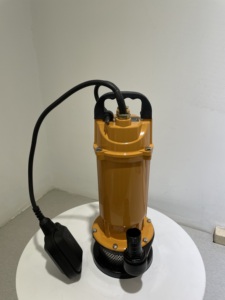 ปั๊มน้ำสะอาด750W 1HP qdx 220V 50Hz สำหรับบ้านของครอบครัวชลประทาน Bomba <span class=keywords><strong>Sumergible</strong></span> - Product Image 2