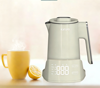 Bouilloire électrique en acier inoxydable à double paroi anti-chaleur 1,0 L avec arrêt automatique, chauffe-eau domestique, appareil de cuisine