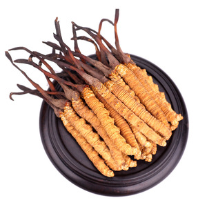 동충하초 Sinensis AD 생 슬라이스 옐로우 1kg 계절 오리지널 패키지 건조 용품 도매 선물 상자 - Product Image 4