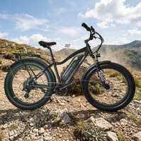 Yozma in 10 Moto tout-terrain électrique 500W 48V10.4Ah Autonomie supérieure à 60 km Batterie au lithium en alliage d'aluminium Légère Vélo à pneus larges 7 vitesses