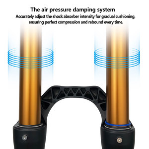 <span class=keywords><strong>Fourche</strong></span> de suspension pneumatique <span class=keywords><strong>DH</strong></span> professionnelle <span class=keywords><strong>26</strong></span> 27,5 29 <span class=keywords><strong>pouces</strong></span>, débattement de 180 mm, Boost 15*110 mm, 38 mm, plus robuste, pour VTT de descente - Product Image 3