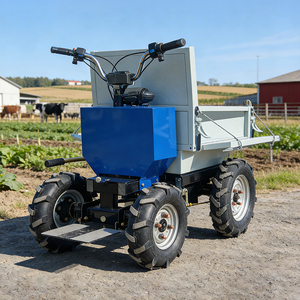 EPA-gecertificeerde <span class=keywords><strong>mini</strong></span>-rupsdumper en rupsmini-dumper Minero van 500 kg. Voor zwaar werk met een <span class=keywords><strong>Chinese</strong></span> minidumper - Product Image 3