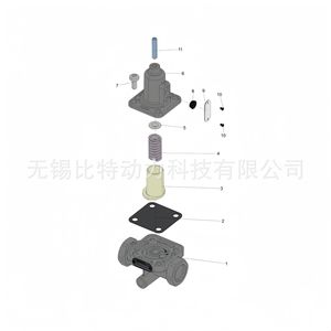   Válvula de Alivio 4341002570 para Camiones y Furgonetas Renault de Uso Pesado - Product Image 5
