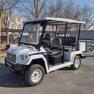 Voiture de golf à essence à bas <span class=keywords><strong>prix</strong></span> à vendre, 2, <span class=keywords><strong>4</strong></span>, 6, 8 places, voiture de golf tout-terrain pour le tourisme en club, 8 places - Product Image 5