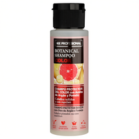 Champú Vegano Botánico Protector del Color de Frutas para Cabello Teñido con Aceite de Argán y Pomelo, Fórmula Líquida Profesional