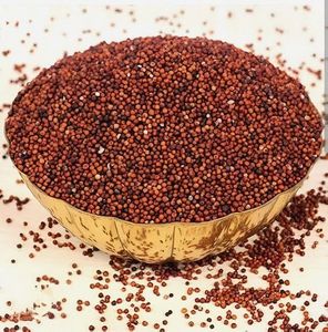 Graines de moutarde rouge DALAI IMPEX en bol doré, épice culinaire naturelle et biologique, origine Orissa - Product Image 1