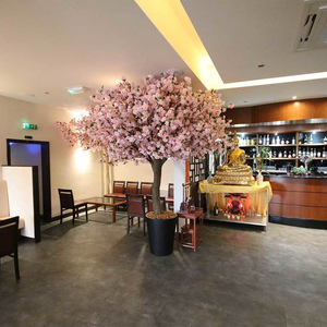 Branche d'<span class=keywords><strong>arbre</strong></span> de <span class=keywords><strong>fleur</strong></span> de cerisier artificielle japonaise de 3 à 12m de large pour décor d'hôtel et de restaurant, bricolage personnalisé - Product Image 1