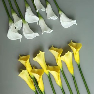 Bán Buôn Chất Lượng Cao Bất Cảm Ứng PU Trắng Tím <span class=keywords><strong>Calla</strong></span> Lily Nhà Máy Nhân Tạo Hoa <span class=keywords><strong>Calla</strong></span> Lily Cho Đám Cưới Trang Trí Nội Thất - Product Image 5