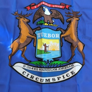 Banderas de Michigan para Exteriores, 3 x 5 pies, Resistentes y Antidecoloración, Tela Oxford para Exteriores, Bandera del Estado de EE. UU. con Patrón Bordado - Product Image 2