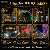 Lumières de Noël LED 2D TOPREX pour l'extérieur, IP65, motif fantaisie 2D pour l'éclairage paysager, alimentation secteur AC