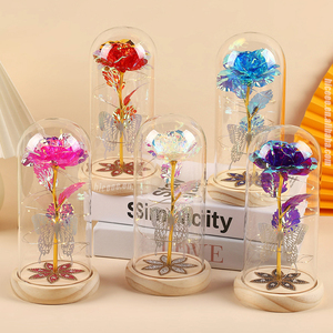 Nueva luz Led 24K hoja de oro cúpula de cristal Rosa regalo para el Día de San Valentín Regalo de Cumpleaños galaxia Flor Mariposa en cúpula de cristal - Product Image 1