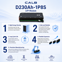 Module CALB 230AH-1P8S 25.6V 230Ah LiFePO4 5.88kWh avec BMS FPC prêt pour système de batterie de véhicule électrique