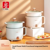 Fournisseur direct d'usine, marmite électrique à puissance indéfinie pour usage en dortoir, multifonctionnelle, intégrée, pour faire des fondue, cadeau