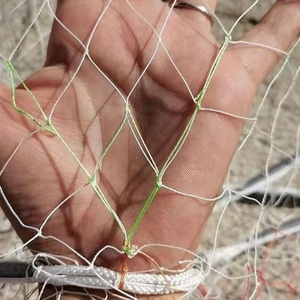 <span class=keywords><strong>Filet</strong></span> <span class=keywords><strong>de</strong></span> pêche traditionnel filé à la main <span class=keywords><strong>Filet</strong></span> <span class=keywords><strong>de</strong></span> coulée à l'ancienne fait à la main <span class=keywords><strong>Filet</strong></span> en plastique jeté à la main - Product Image 5