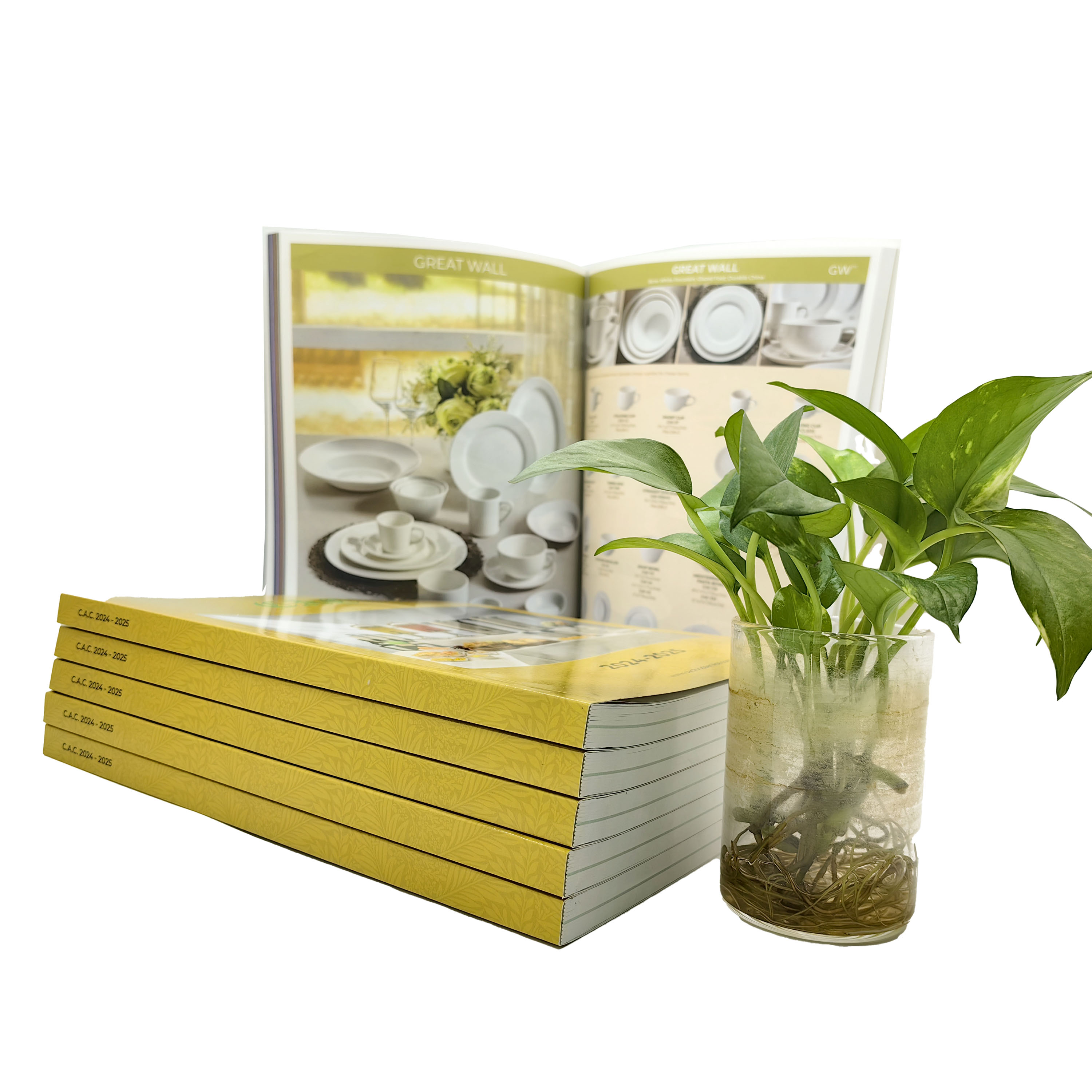 Factory Customized Soft Cover Magazine Perfect Binding Printed Fancy Offset Cardboard Film Lamination Catalog Brochure Printing