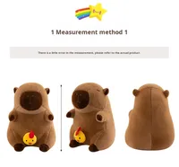 Peluche Kapybara cochon mignon, réversible en poulet, avec technique de lavage, pour anniversaires
