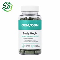 Capsules de Chlorophylle OEM 200mg avec Persil et Menthe Poivrée, Complément Déodorant Végétalien, 30 Comprimés, Marque Privée