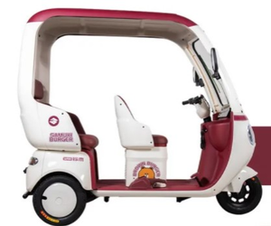 Tricycle électrique de haute qualité 2026 avec batterie au plomb-acide scellée 60V et moteur 650W sur le dessus - Product Image 3