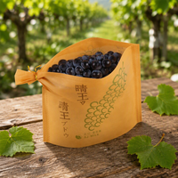 Sacs d'emballage pour fruits non tissés sur mesure en gros – Sacs durables pour raisins/melon Hami pour supermarché