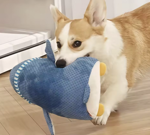 Çevre dostu pamuk peluş penguen köpek oyuncak-köpekler için interaktif diş taşlama oyuncak - Product Image 5