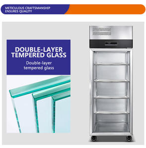 <span class=keywords><strong>Congélateur</strong></span> vertical de 300 L avec porte vitrée pour boissons, réfrigérateur à bière, vitrine réfrigérée pour boissons pour magasin de proximité - Product Image 4