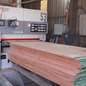 Planche de contreplaqué en <span class=keywords><strong>noyer</strong></span> <span class=keywords><strong>noir</strong></span> pour meubles et matériaux en bois, fournie par l'usine - Product Image 6