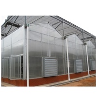 Serre agricole/commerciale pour la plantation de fraises/tomates/cerises/concombres/laitues avec système hydroponique