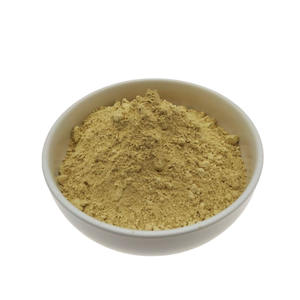 Poudre de Lutéoline en Gros 98% Pure Lutéoline - Product Image 1